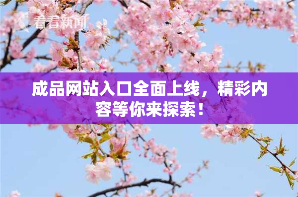成品网站入口全面上线，精彩内容等你来探索！