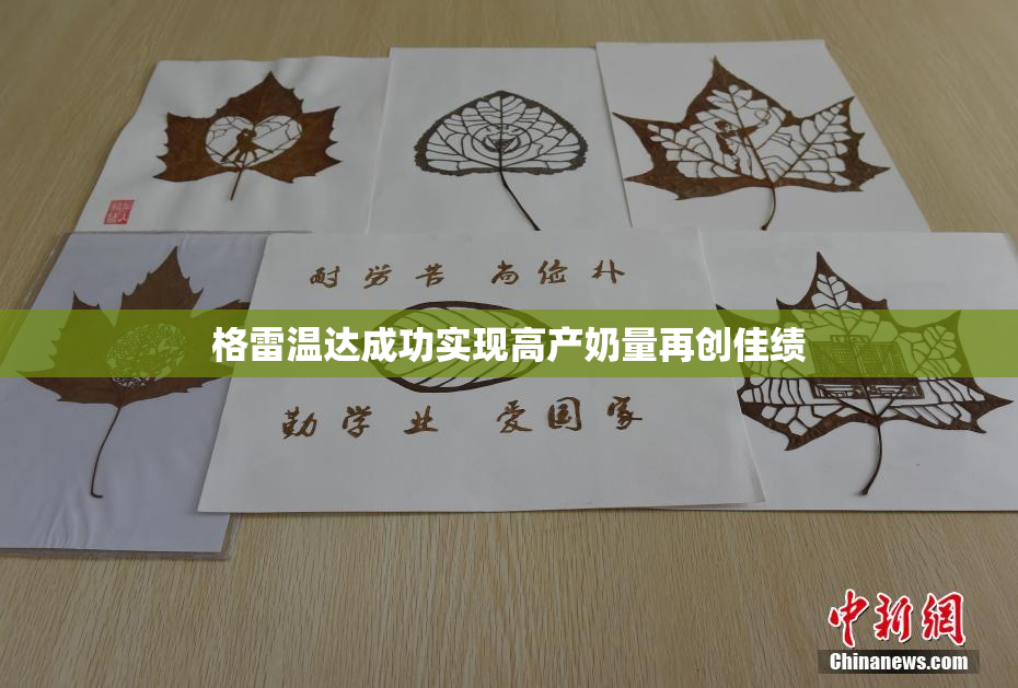 格雷温达成功实现高产奶量再创佳绩