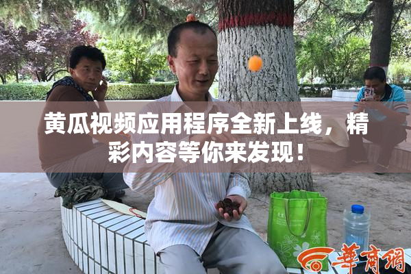 黄瓜视频应用程序全新上线，精彩内容等你来发现！
