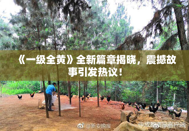 《一级全黄》全新篇章揭晓，震撼故事引发热议！