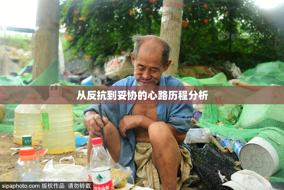 从反抗到妥协的心路历程分析
