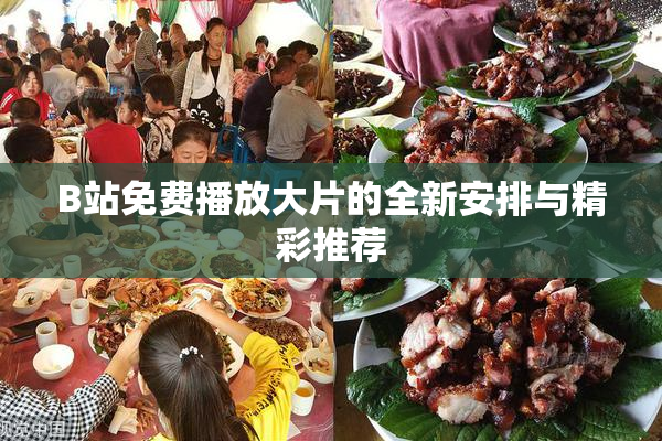 B站免费播放大片的全新安排与精彩推荐