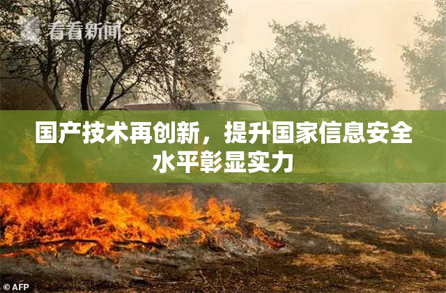 国产技术再创新，提升国家信息安全水平彰显实力