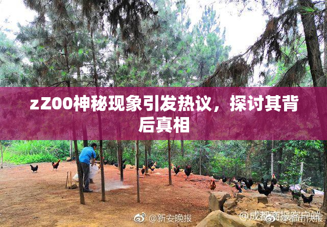 zZ00神秘现象引发热议，探讨其背后真相