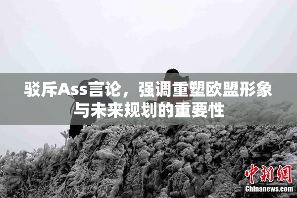 驳斥Ass言论，强调重塑欧盟形象与未来规划的重要性