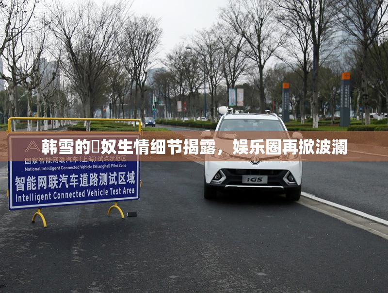 韩雪的婬奴生情细节揭露，娱乐圈再掀波澜