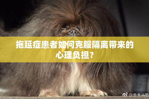 拖延症患者如何克服隔离带来的心理负担？
