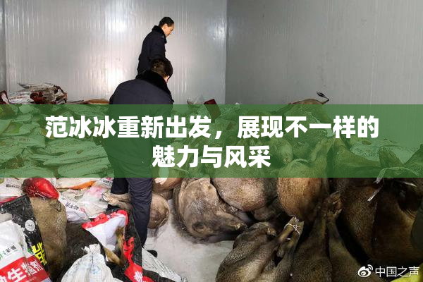范冰冰重新出发，展现不一样的魅力与风采