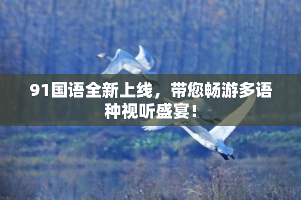 91国语全新上线，带您畅游多语种视听盛宴！