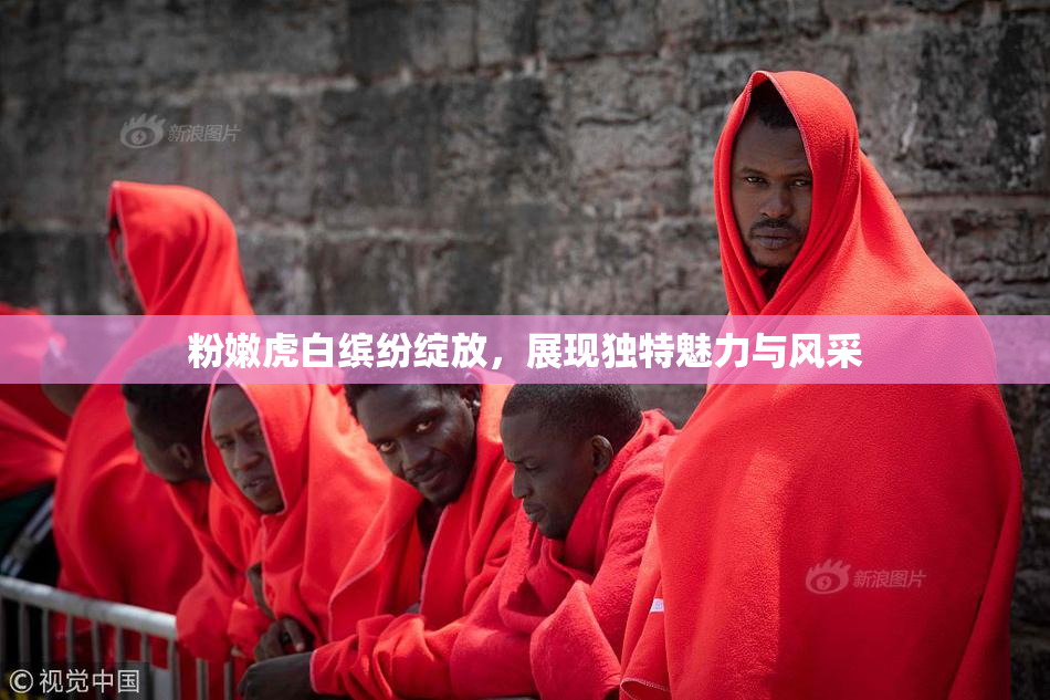 粉嫩虎白缤纷绽放，展现独特魅力与风采