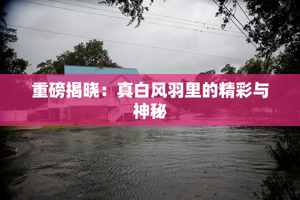 重磅揭晓：真白风羽里的精彩与神秘
