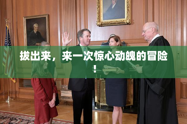 拔出来，来一次惊心动魄的冒险！