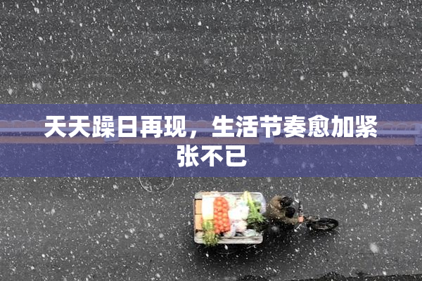 天天躁日再现，生活节奏愈加紧张不已