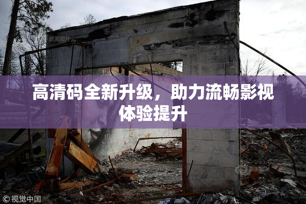 高清码全新升级，助力流畅影视体验提升