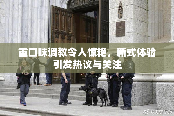 重口味调教令人惊艳，新式体验引发热议与关注
