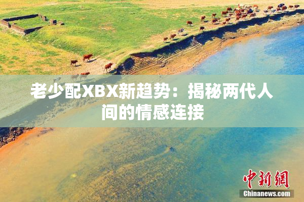 老少配XBX新趋势：揭秘两代人间的情感连接