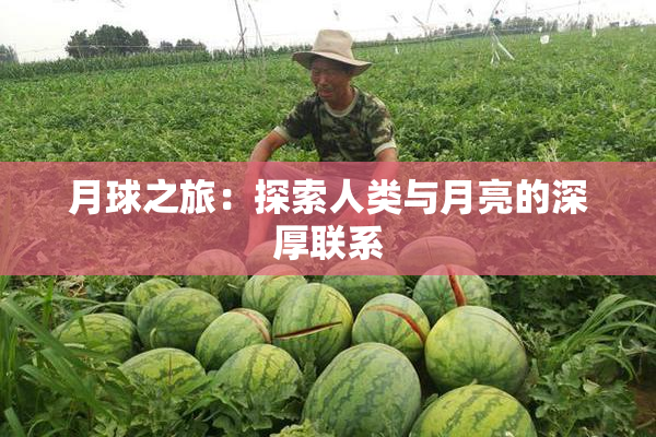 月球之旅：探索人类与月亮的深厚联系