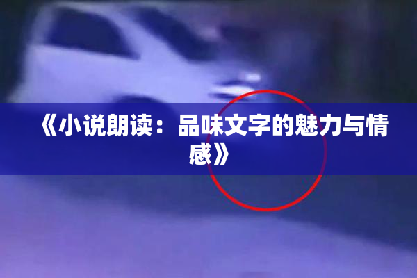 《小说朗读：品味文字的魅力与情感》
