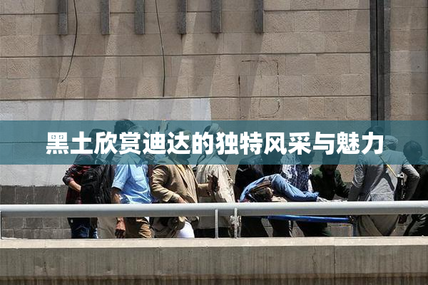 黑土欣赏迪达的独特风采与魅力