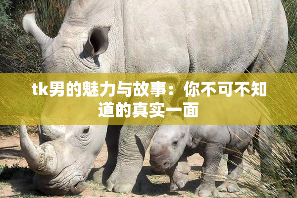 tk男的魅力与故事：你不可不知道的真实一面