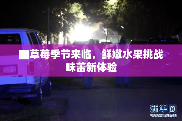 ▇草莓季节来临，鲜嫩水果挑战味蕾新体验