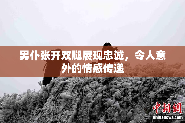 男仆张开双腿展现忠诚，令人意外的情感传递