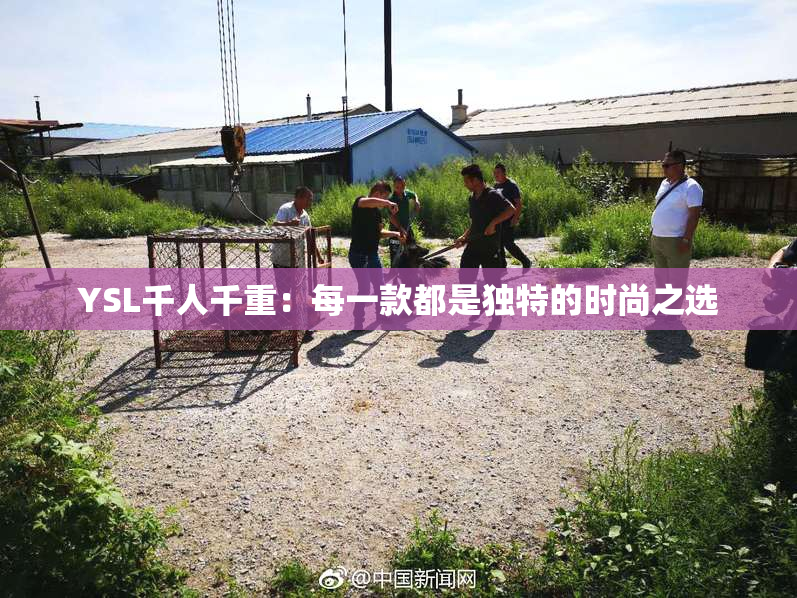 YSL千人千重：每一款都是独特的时尚之选