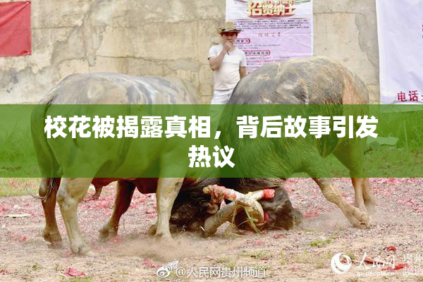 校花被揭露真相，背后故事引发热议