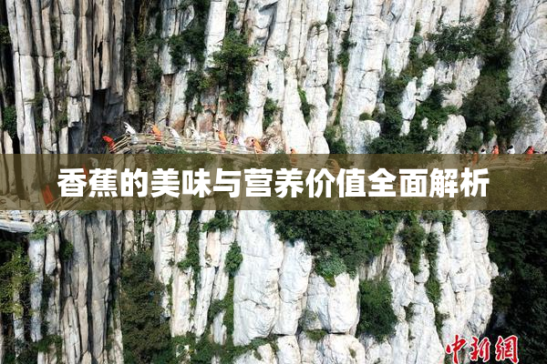 香蕉的美味与营养价值全面解析