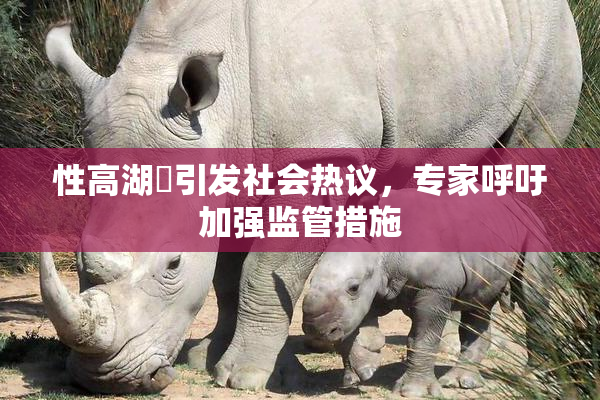 性高湖婬引发社会热议，专家呼吁加强监管措施