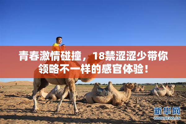 青春激情碰撞，18禁涩涩少带你领略不一样的感官体验！