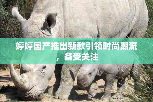 婷婷国产推出新款引领时尚潮流，备受关注