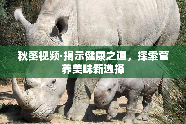 秋葵视频·揭示健康之道，探索营养美味新选择