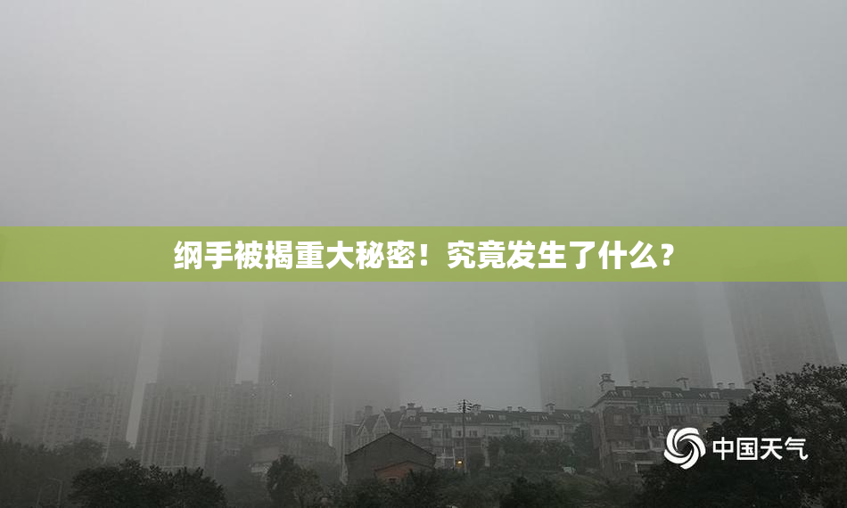 纲手被揭重大秘密！究竟发生了什么？