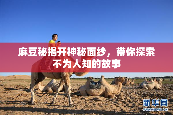 麻豆秘揭开神秘面纱，带你探索不为人知的故事