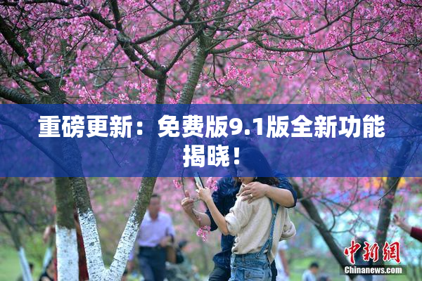 重磅更新：免费版9.1版全新功能揭晓！