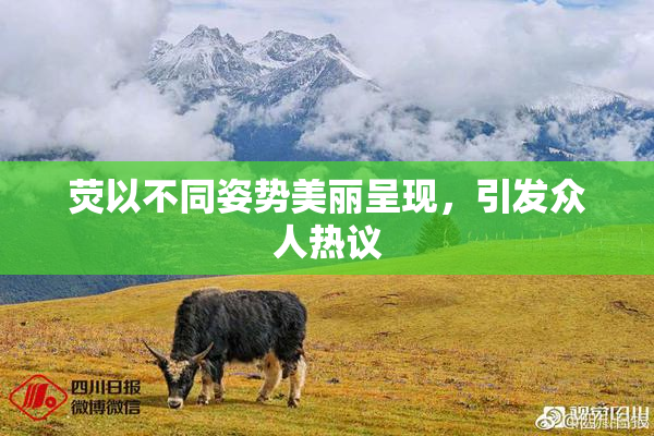 荧以不同姿势美丽呈现，引发众人热议