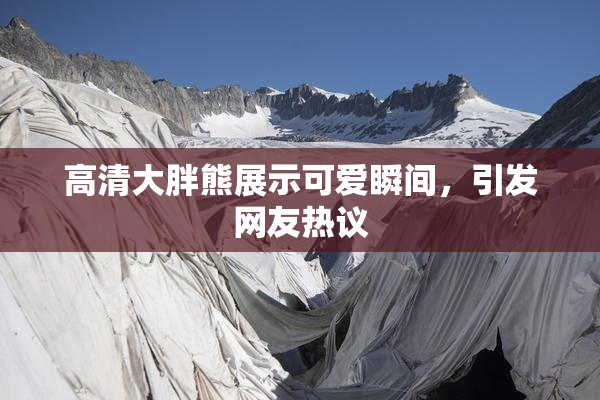 高清大胖熊展示可爱瞬间，引发网友热议