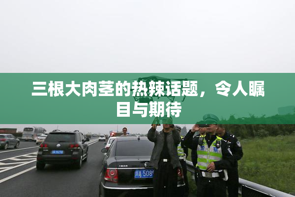 三根大肉茎的热辣话题，令人瞩目与期待