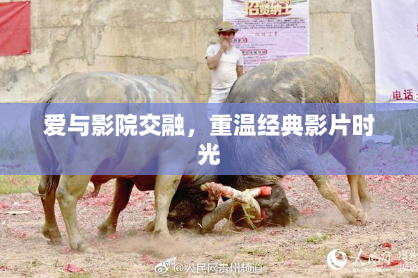 爱与影院交融，重温经典影片时光