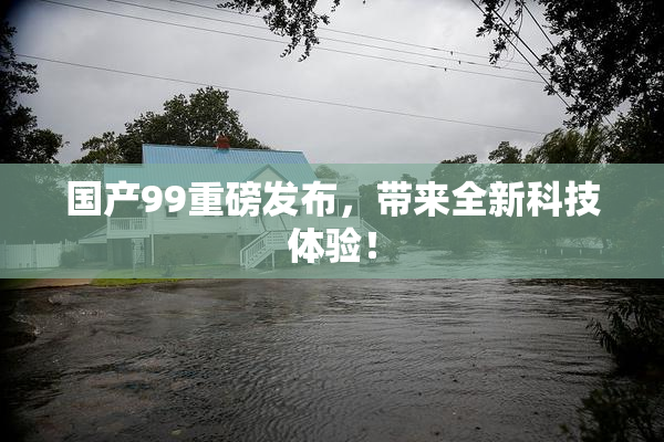 国产99重磅发布，带来全新科技体验！