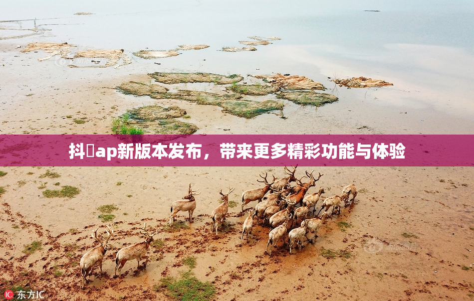 抖抈ap新版本发布，带来更多精彩功能与体验