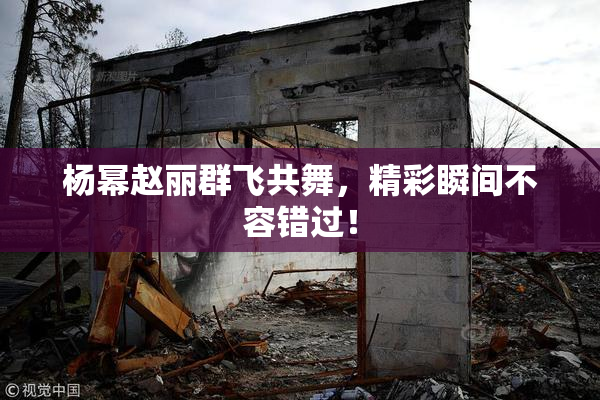 杨幂赵丽群飞共舞，精彩瞬间不容错过！