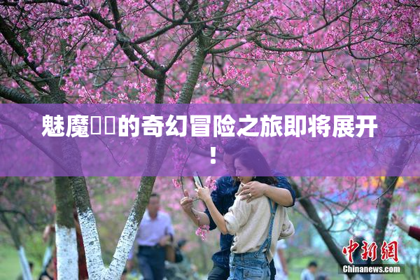 魅魔妺妺的奇幻冒险之旅即将展开！