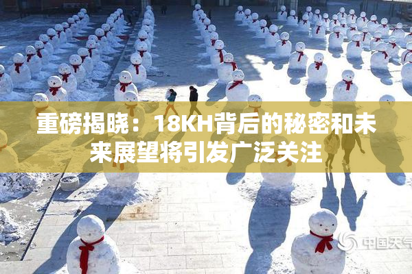 重磅揭晓：18KH背后的秘密和未来展望将引发广泛关注