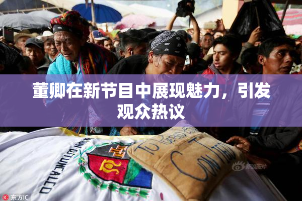 董卿在新节目中展现魅力，引发观众热议