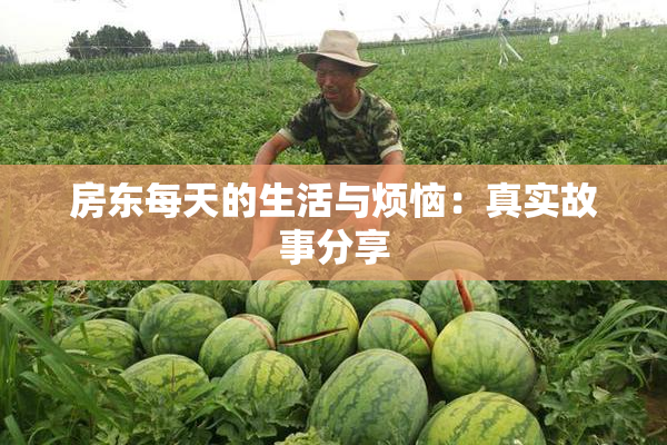 房东每天的生活与烦恼：真实故事分享