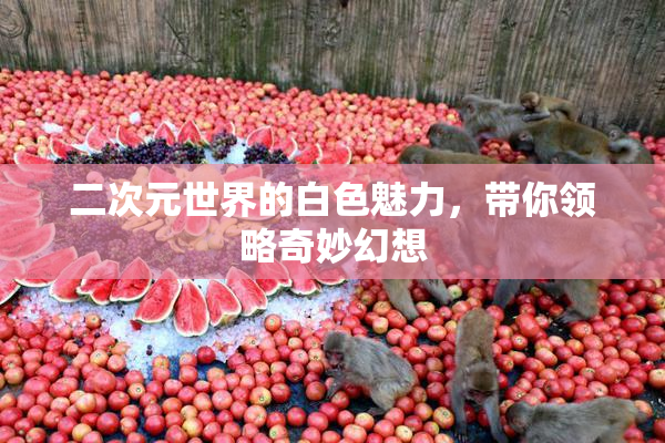 二次元世界的白色魅力，带你领略奇妙幻想