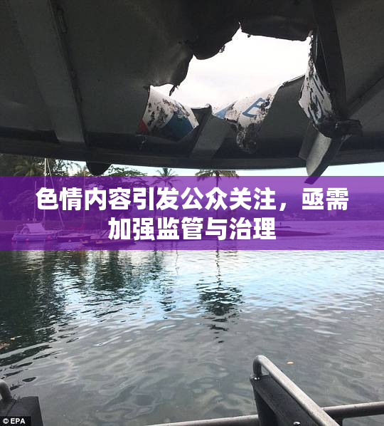 色情内容引发公众关注，亟需加强监管与治理