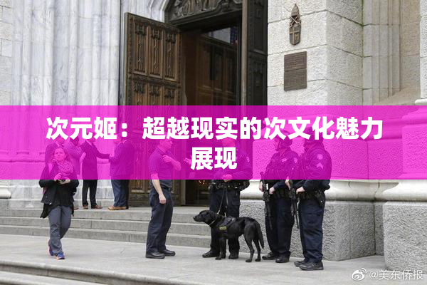 次元姬：超越现实的次文化魅力展现